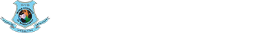 Corporate Logo